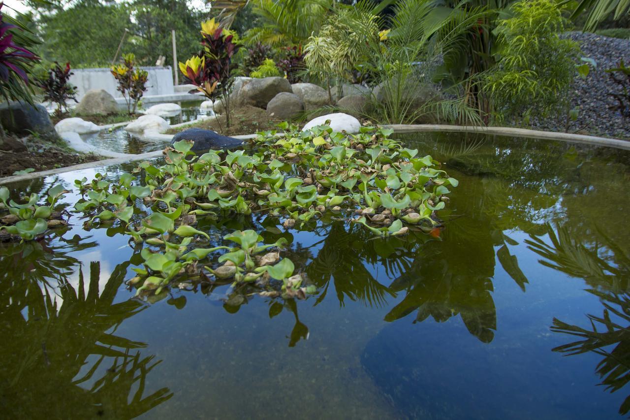 Residencias Arenal La Fortuna Dış mekan fotoğraf